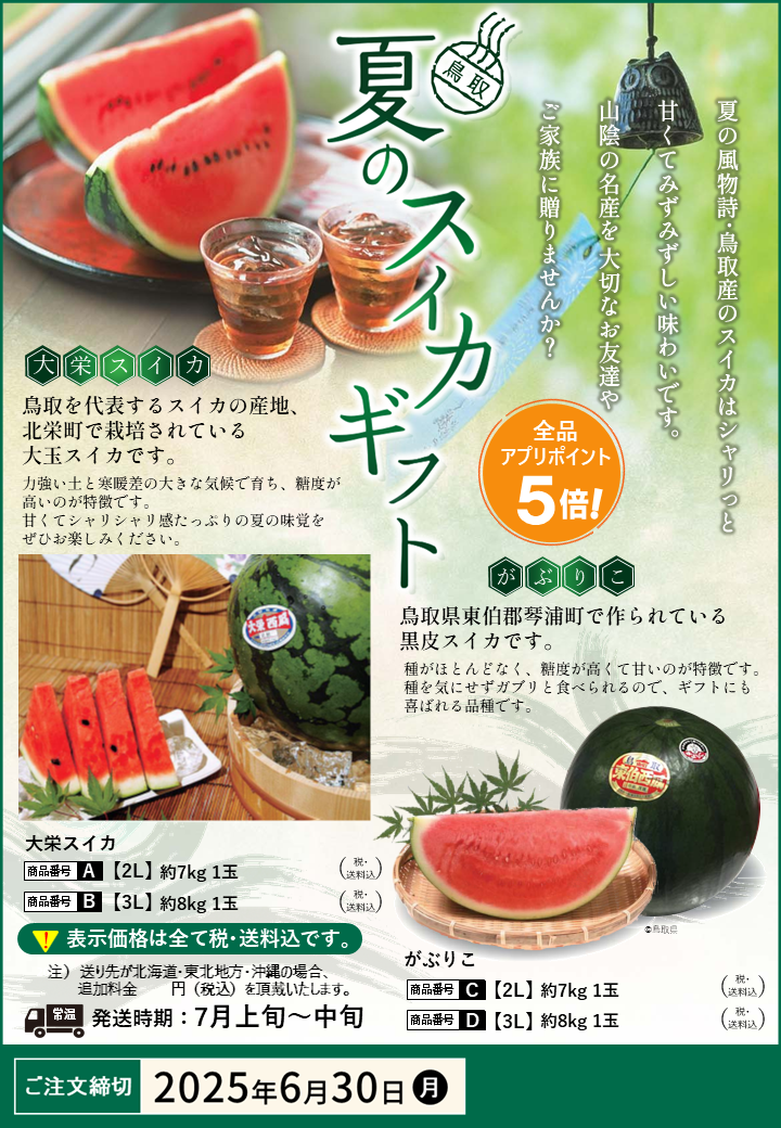 🍉数量限定🍉名産スイカ2品種|大栄スイカ・がぶりこ|