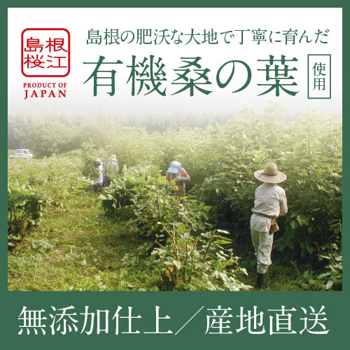 🍃飲む健康習慣🍃 島根県産オーガニック桑茶/ノンカフェインティー