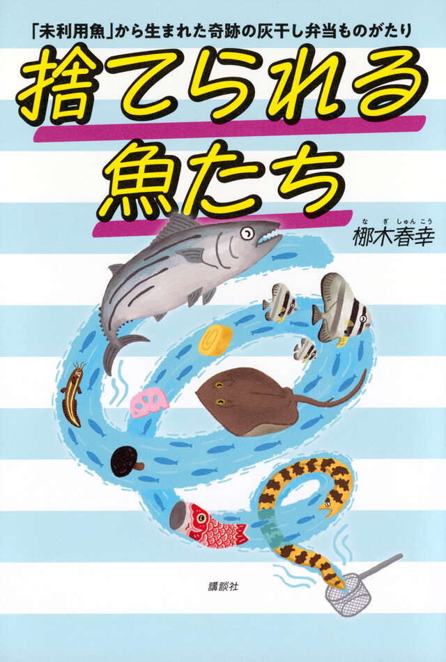 🐟今井書店が選ぶ、食を考える本🐟 捨てたらゴミ、食べればごちそう!「未利用魚」から生まれた奇跡の灰干し弁当ものがたり『捨てられる魚たち』