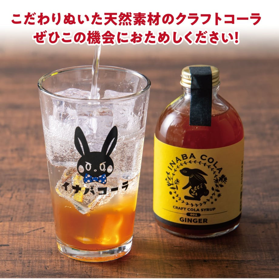 🥤INABACOLAギフトセット🥤クラフトコーラ飲みくらべ 250ml×2本セット｜選べるA・B・Cセット