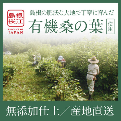 🍃飲む健康習慣🍃 島根県産オーガニック桑茶／ノンカフェインティー