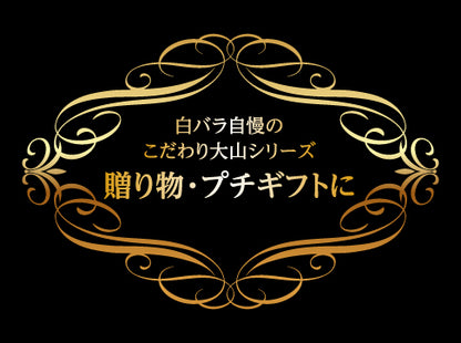 🍧送料無料🍧白バラ こだわり大山アイスバー21本セット 3種詰合せ｜抹茶・ミルク・ラムレーズン｜ 鳥取県産生乳使用