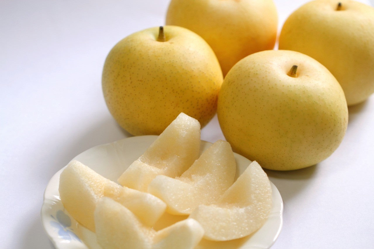 🍐数量限定🍐名産 梨 2品種｜二十世紀梨・新甘泉｜