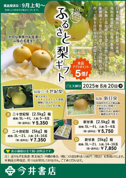 🍐数量限定🍐名産 梨 2品種｜二十世紀梨・新甘泉｜