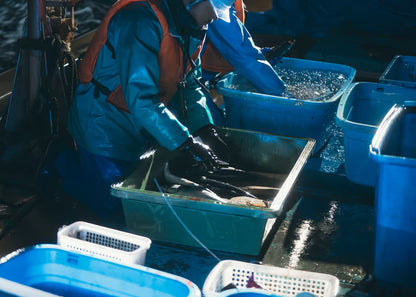 送料込み🐟御津星鮮魚🐟島根半島の漁港から直送！漁師が作った驚きの味！ 特盛「御津星鮮魚」漬け丼 ハマチ・タイ・レア魚 各1パック 計3パック